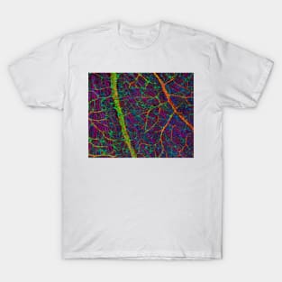 Retina blood vessels and nerve cells (C009/5825) T-Shirt